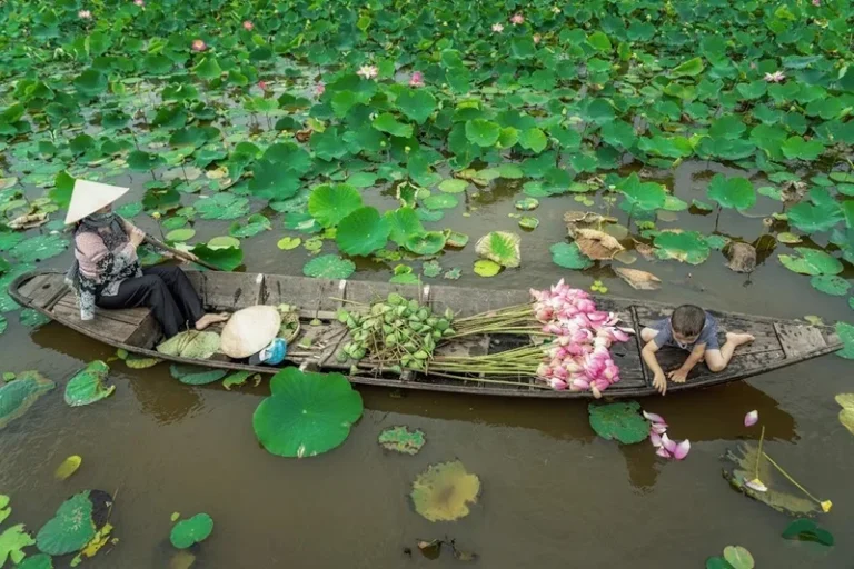 Đồng Tháp có gì chơi và top điểm đến làm say lòng du khách