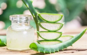 Cách làm nha đam tươi đắp mặt đúng chuẩn, an toàn và hiệu quả tại nhà
